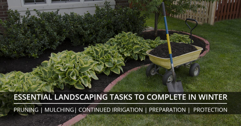 Winter Landscaping Tips For Your Florida Home