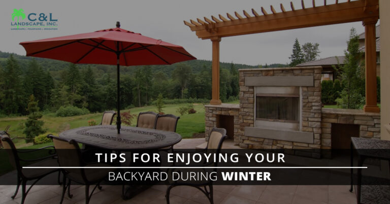 Tips For Enjoying Your Backyard During Winter