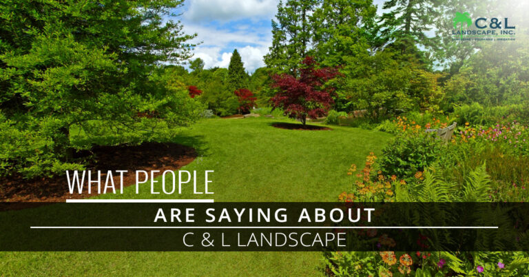 What People Are Saying About C & L Landscape