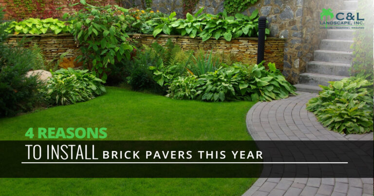 Four Reasons to Install Brick Pavers This Year