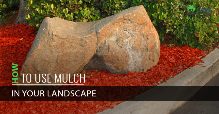 How To Use Mulch In Your Landscape