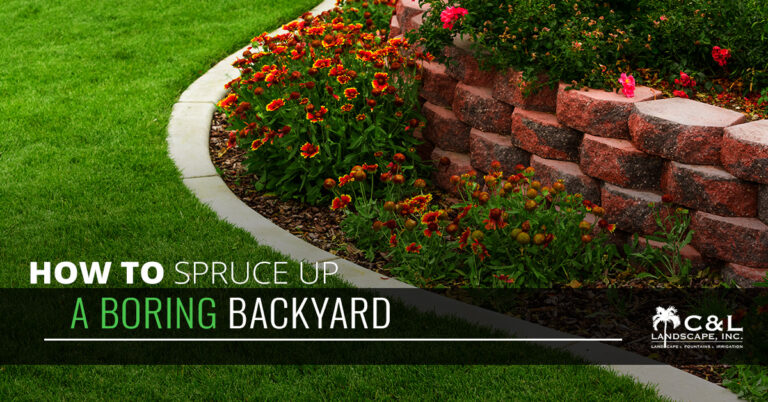 How To Spruce Up A Boring Backyard