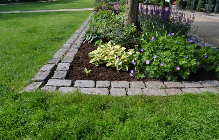 Landscape Border Ideas